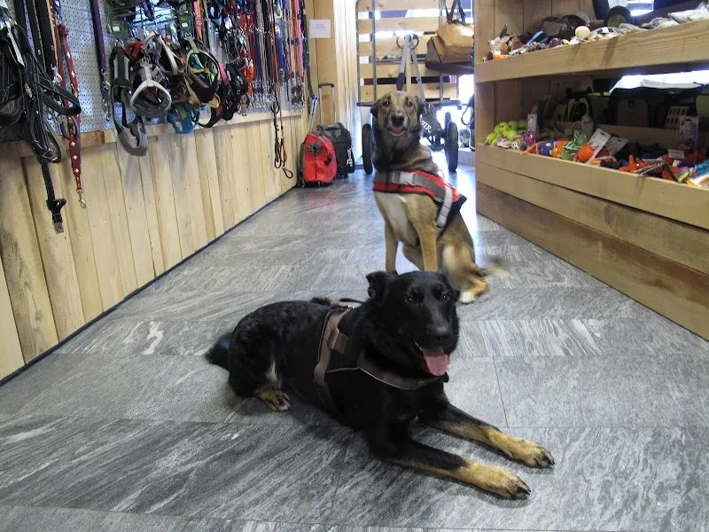 tiVET, Centro Veterinario — Tierarzt, Lavertezzo, Tessin. Foto 2