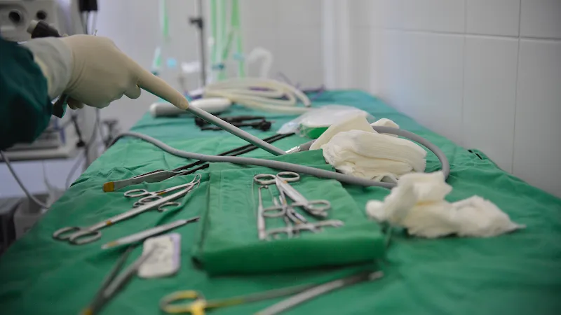 tiVETmoesa — Tierarzt in Grono, Graubünden. Bewertung 4.6/5.