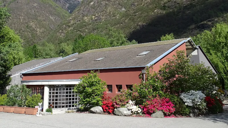 tiVETmoesa — Tierarzt, Grono, Graubünden. Foto 3