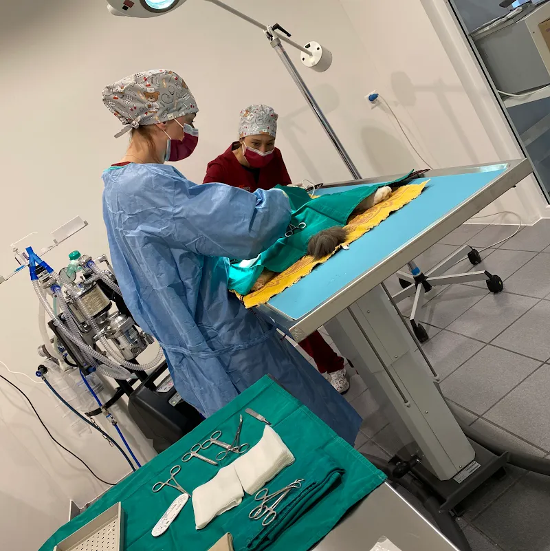 tiVet Centro Veterinario, Via G. Vicari 12, 6900 Lugano — Tierarzt, Lugano, Tessin. Foto 3