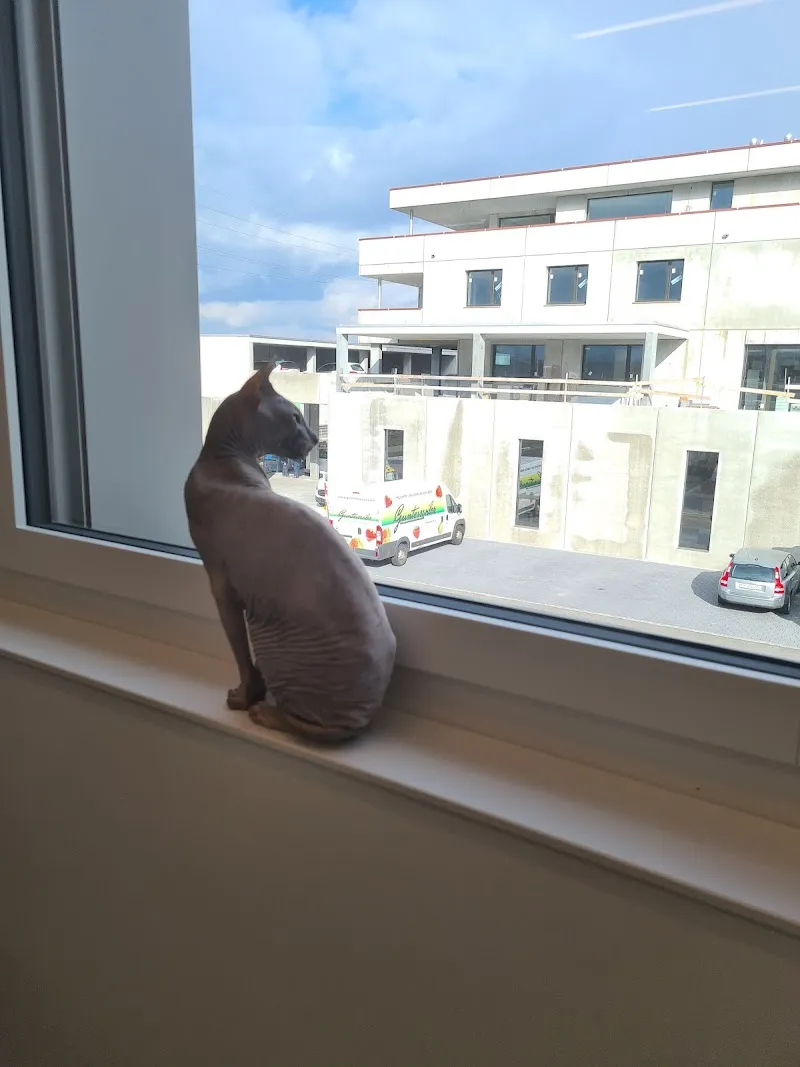 Animedi Gmbh — Tierarzt in Frauenfeld, Thurgau. Bewertung 4.7/5.