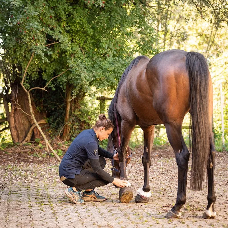 Aulig Tierarztpraxis AG — Vétérinaire, Uesslingen-Buch, Thurgovie. Foto 2