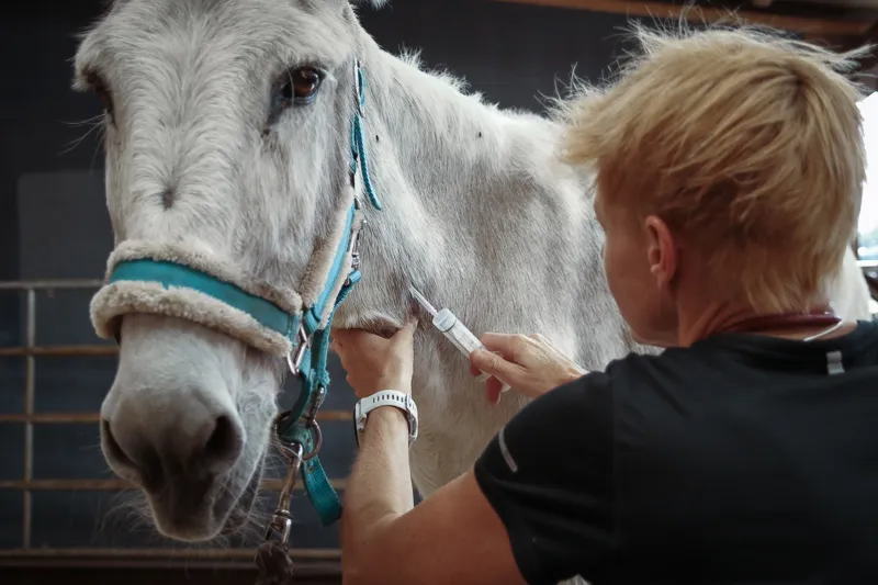 Burkivet AG — Vétérinaire, Frauenfeld, Thurgovie. Foto 2