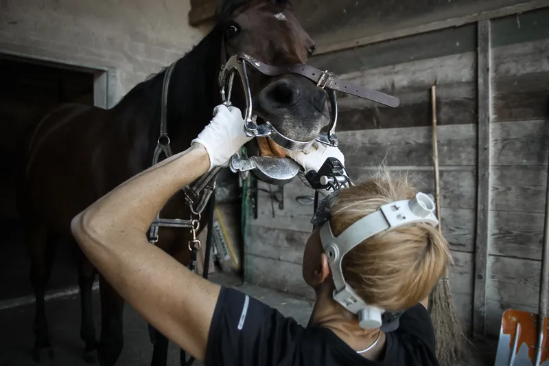 Burkivet AG — Vétérinaire, Frauenfeld, Thurgovie. Foto 3