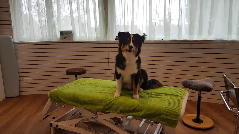 Ganzheitliche Tierarztpraxis — Tierarzt in Fruthwilen, Thurgau. Bewertung 5.0/5.