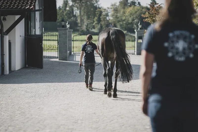 Holistic Vet Care — Tierarzt in Buch bei Frauenfeld, Thurgau. Bewertung 5.0/5.