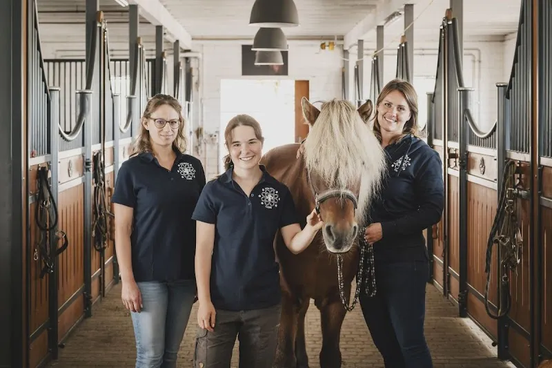 Holistic Vet Care — Vétérinaire, Buch bei Frauenfeld, Thurgovie. Foto 2