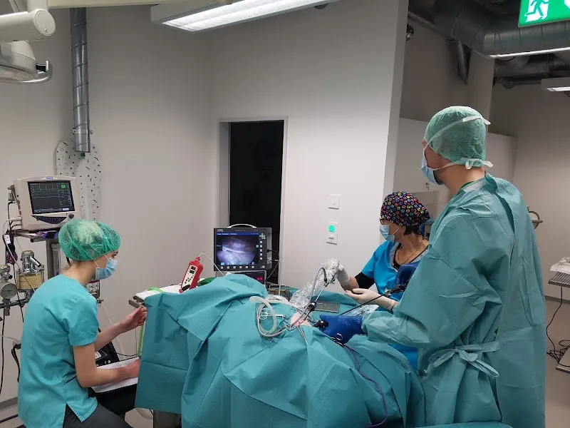 MeikoVet Kleintierpraxis Frauenfeld — Tierarzt, Frauenfeld, Thurgau. Foto 2