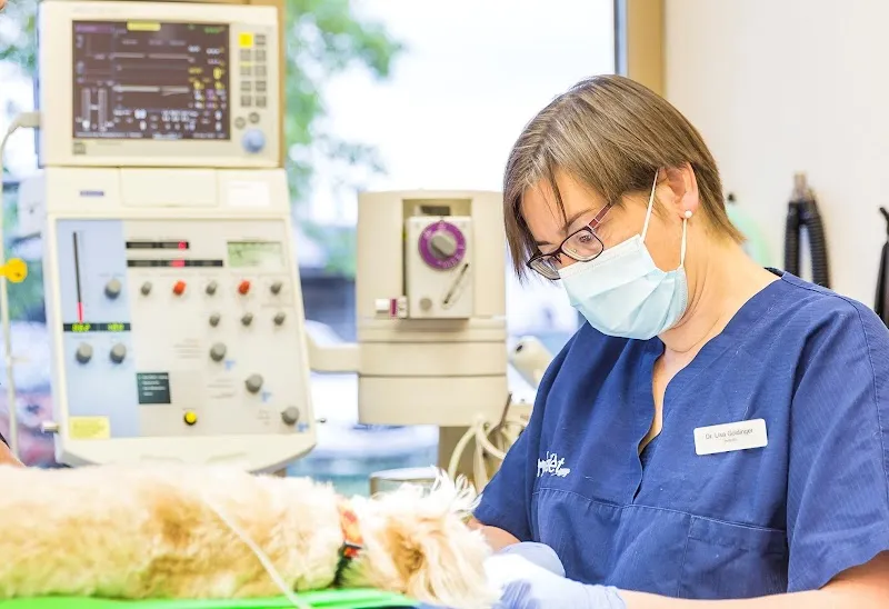 Tezet Tiermedizinisches Zentrum AG — Vétérinaire, Müllheim, Thurgovie. Foto 3