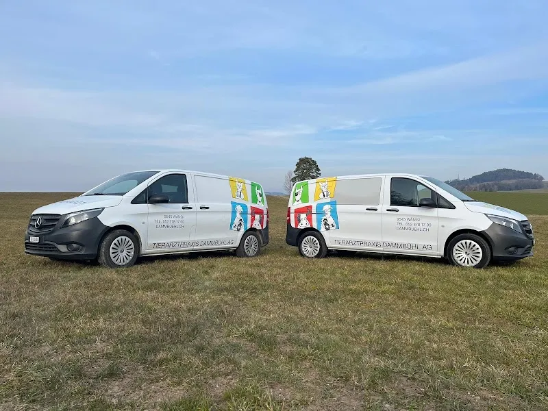 Tierarztpraxis Dammbühl AG — Vétérinaire, Wängi, Thurgovie. Foto 2
