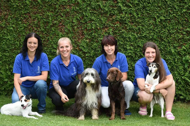 Tierarztpraxis im Hölzli — Tierarzt in Amriswil, Thurgau. Bewertung 4.8/5.