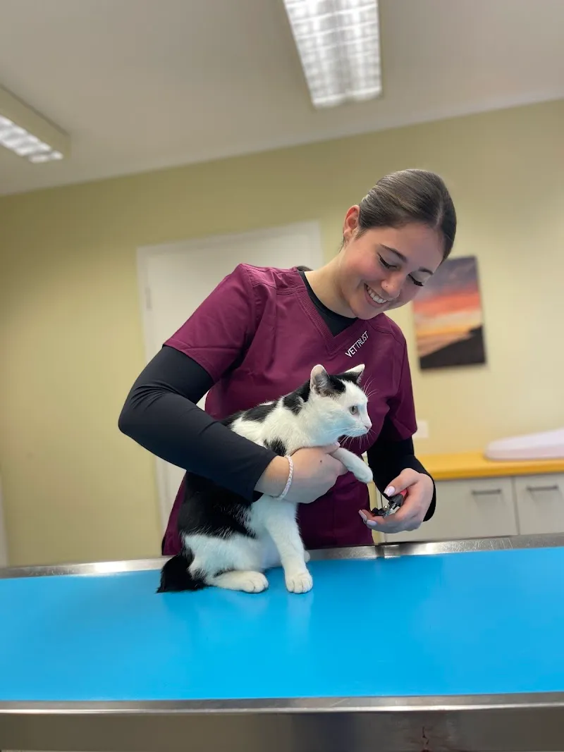 VetTrust Kleintierpraxis Frauenfeld (Martin Hejl GmbH) — Tierarzt in Frauenfeld, Thurgau. Bewertung 4.7/5.