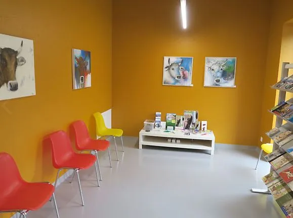 Dr. med. vet. Kleintierpraxis Stadler Thomas — Vétérinaire, Altdorf, Uri. Foto 3