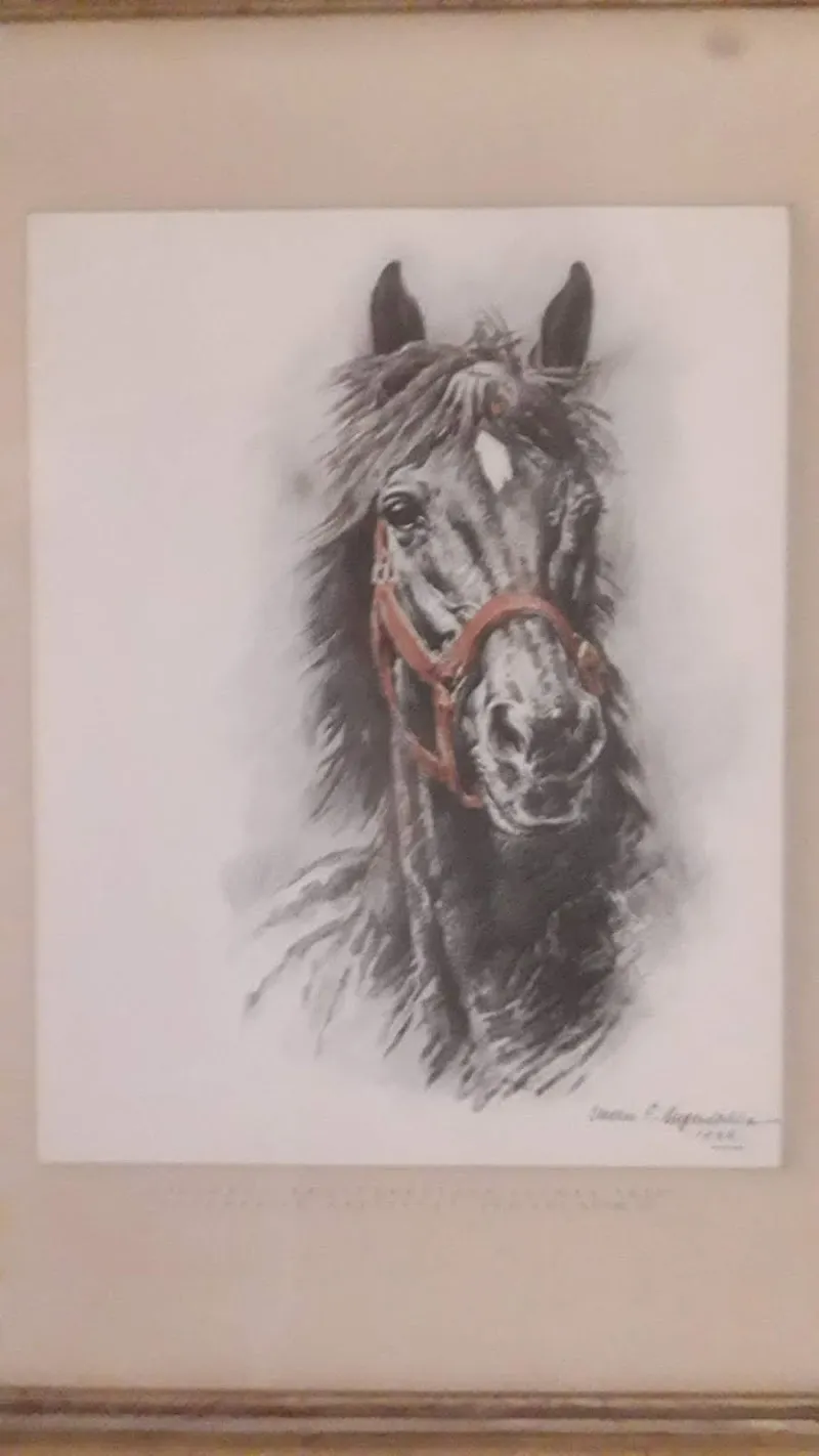 Tierarzt Buochs AG — Vétérinaire, Buochs, Nidwald. Foto 3