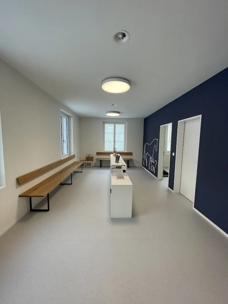 vets7304 AG - Praxis für Kleintiere & Pferde — Vétérinaire, Maienfeld, Grisons. Foto 2