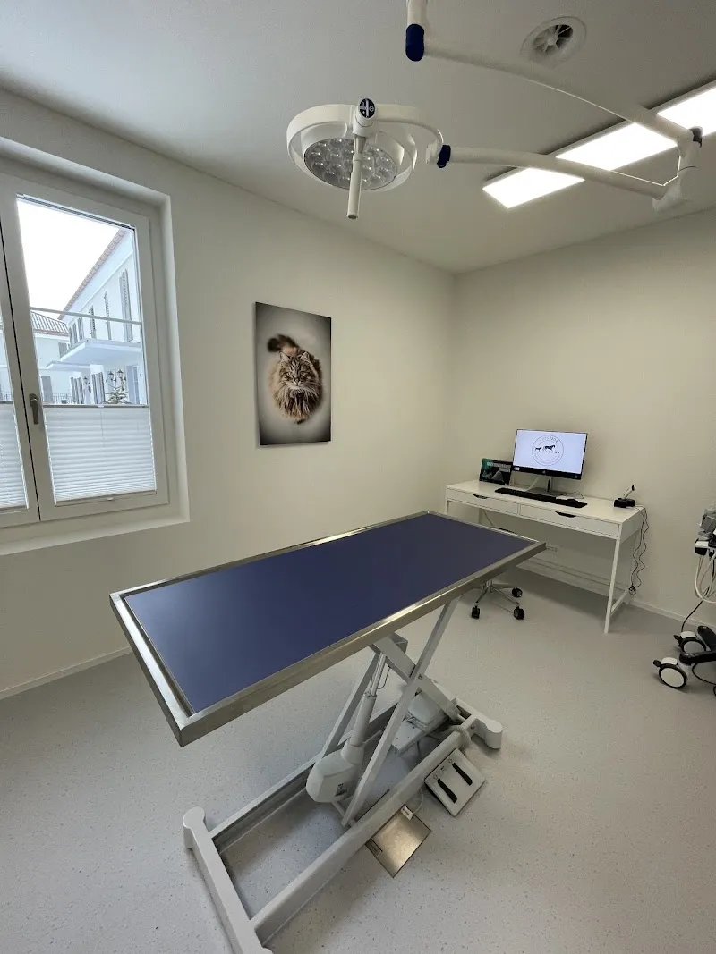 vets7304 AG - Praxis für Kleintiere & Pferde — Vétérinaire, Maienfeld, Grisons. Foto 3