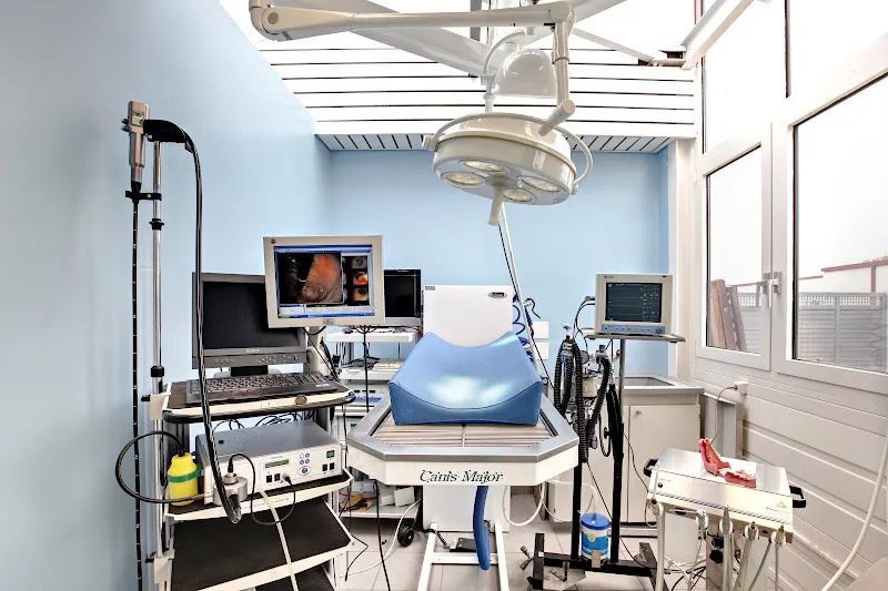 AniCura Centre vétérinaire Ecublens — Tierarzt in Ecublens, Waadt. Bewertung 4.2/5.