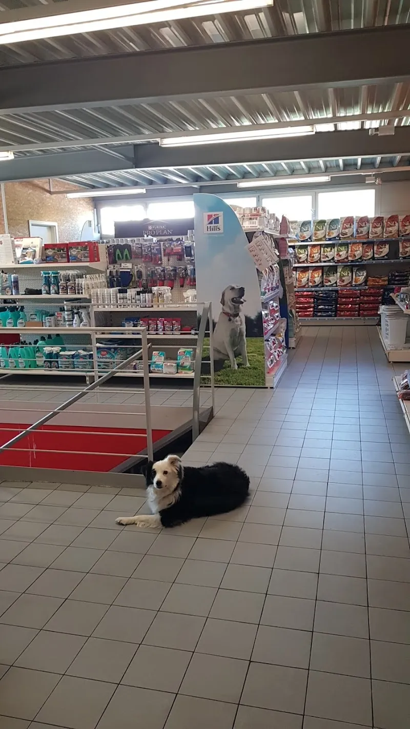 Animalis — Tierarzt, Puidoux, Waadt. Foto 3