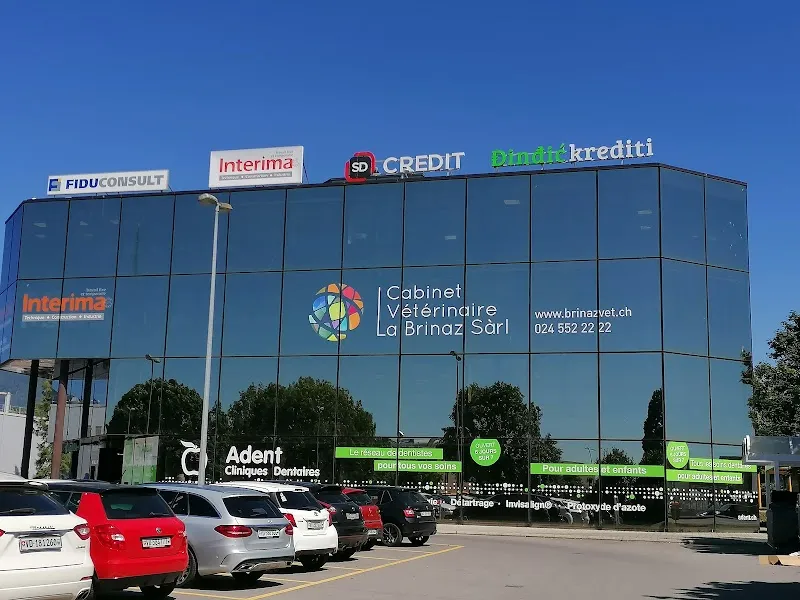 Cabinet Vétérinaire La Brinaz Sàrl — Tierarzt in Montagny-près-Yverdon, Waadt. Bewertung 5.0/5.
