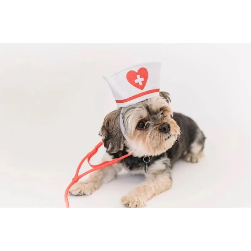 Cabinet Vétérinaire Leysin — Tierarzt in Leysin, Waadt. Bewertung 4.9/5.