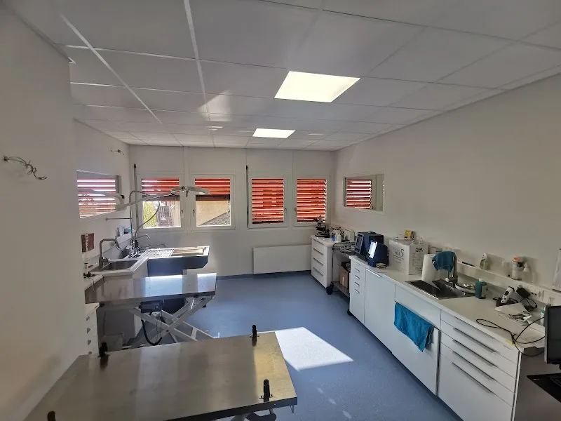 Cabinet Vétérinaire Vetmint Saint-Légier — Tierarzt in Saint-Légier-La Chiésaz, Waadt. Bewertung 4.6/5.