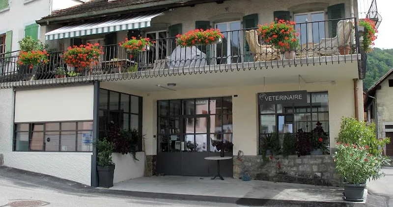 Cabinet Vétérinaire de la Forge Sàrl — Veterinarian, Ollon, Vaud. Foto 2