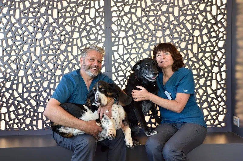 Cabinet Vétérinaire du Boiron Sàrl — Tierarzt in Nyon, Waadt. Bewertung 4.2/5.