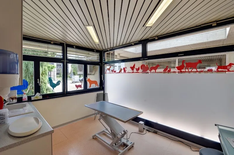 Cabinet Vétérinaire du Boiron Sàrl — Tierarzt, Nyon, Waadt. Foto 3