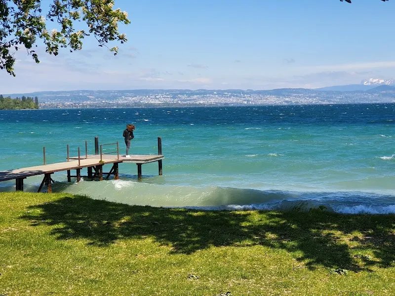 Cabinet d' Ostéopathie Vétérinaire Dr.Mireille Piguet — Tierarzt, Saint-Prex, Waadt. Foto 2