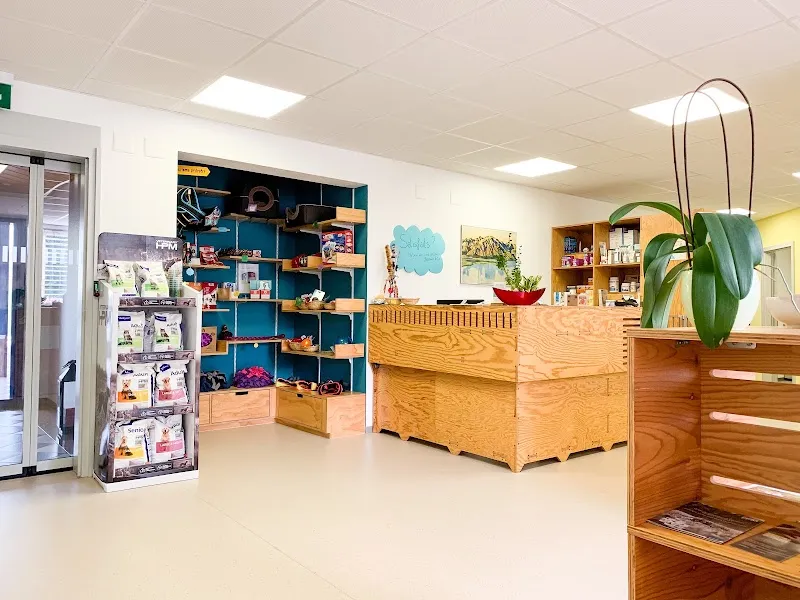 Cabinet vétérinaire Casavet Sàrl — Tierarzt, Yvonand, Waadt. Foto 2
