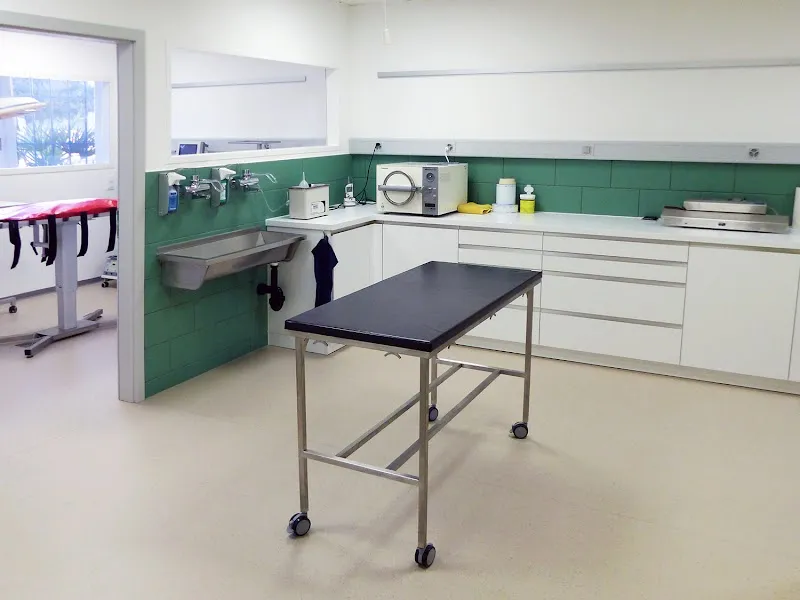 Cabinet vétérinaire Casavet Sàrl — Tierarzt, Yvonand, Waadt. Foto 3