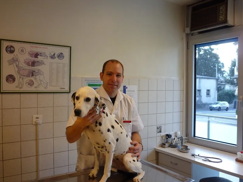 Cabinet vétérinaire Gambetta, Thierry Dupont, médecin-vétérinaire SVS-SVV — Tierarzt in Montreux, Waadt. Bewertung 4.7/5.