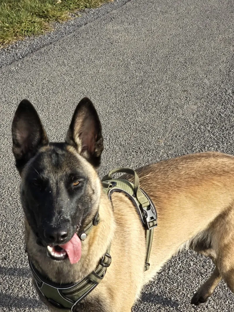 Cabinet vétérinaire Gambetta, Thierry Dupont, médecin-vétérinaire SVS-SVV — Tierarzt, Montreux, Waadt. Foto 3