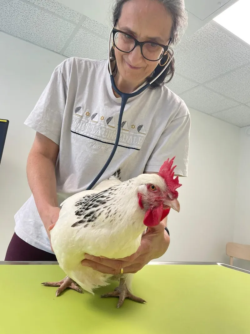 Cabinet vétérinaire Le Trèfle Sàrl — Veterinarian, Nyon, Vaud. Foto 3