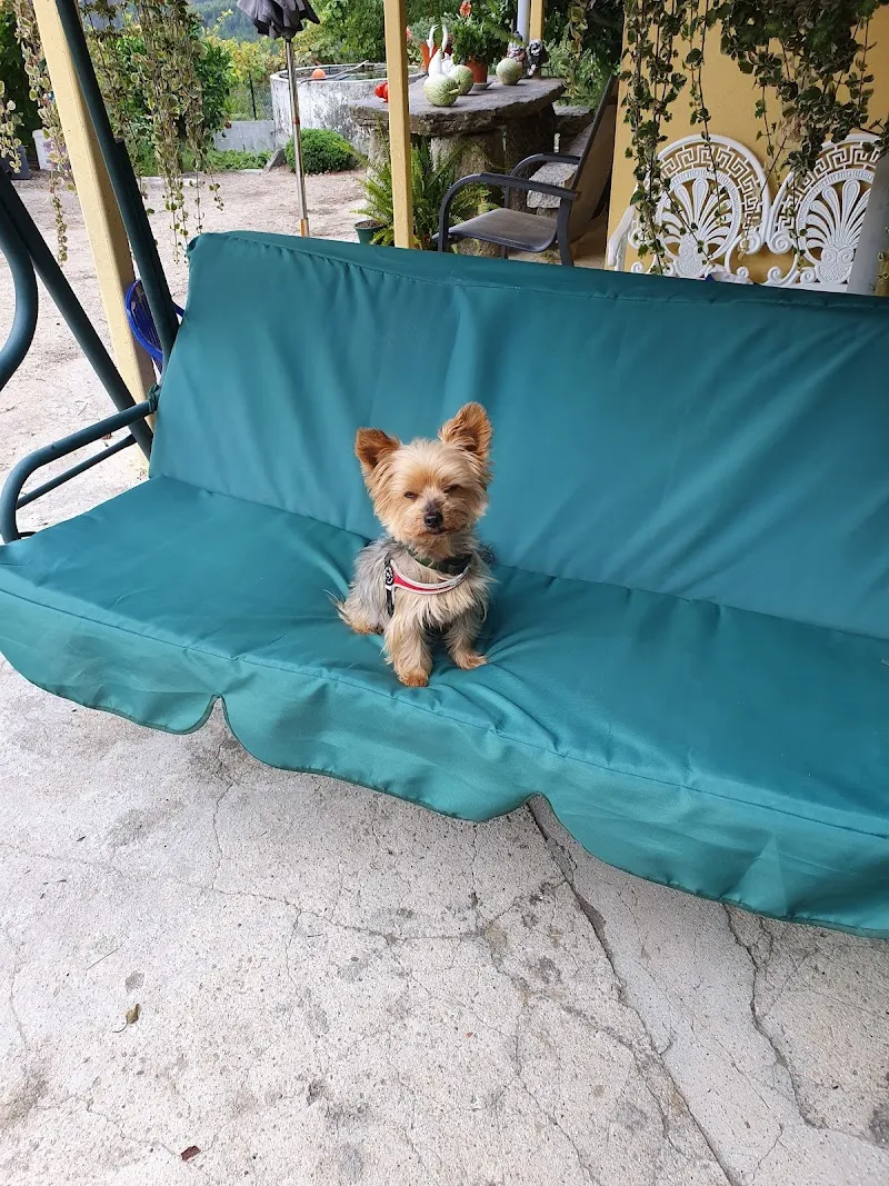 Cabinet vétérinaire Pegasus — Vétérinaire, Lausanne, Vaud. Foto 2