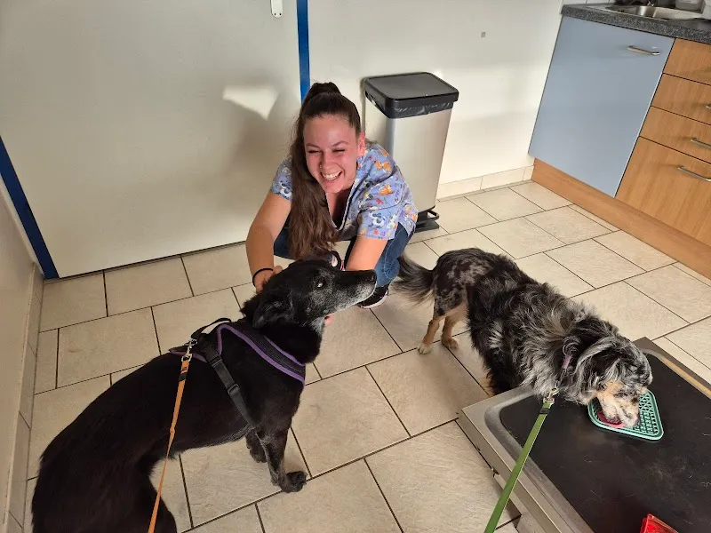 Cabinet vétérinaire VETDENGES — Tierarzt, Denges, Waadt. Foto 3