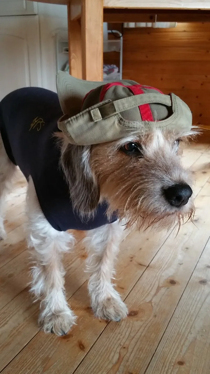 Cabinet vétérinaire Vetanimo SA — Tierarzt, Grandson, Waadt. Foto 3