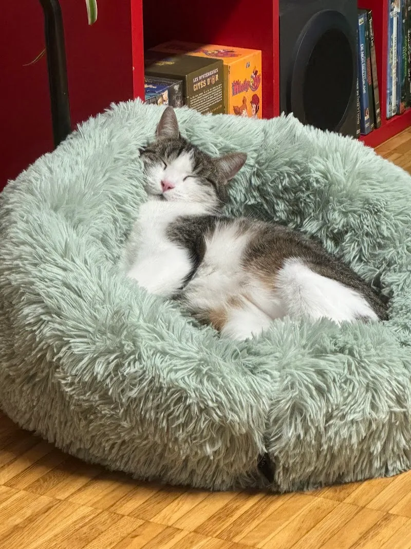 Cabinet vétérinaire de Chailly — Tierarzt in Lausanne, Waadt. Bewertung 4.4/5.