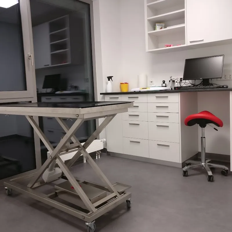 Cabinet vétérinaire de Chailly — Vétérinaire, Lausanne, Vaud. Foto 3