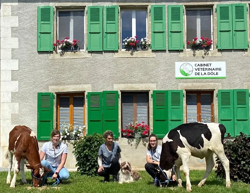 Cabinet vétérinaire de la Dôle — Vétérinaire, Grens, Vaud. Foto 2