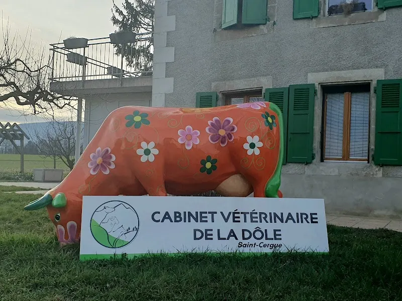 Cabinet vétérinaire de la Dôle - St Cergue - — Veterinarian, Saint-Cergue, Vaud. Foto 3