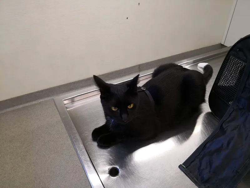 Cabinet vétérinaire des Jordils - Yverdon — Tierarzt, Yverdon-les-Bains, Waadt. Foto 2