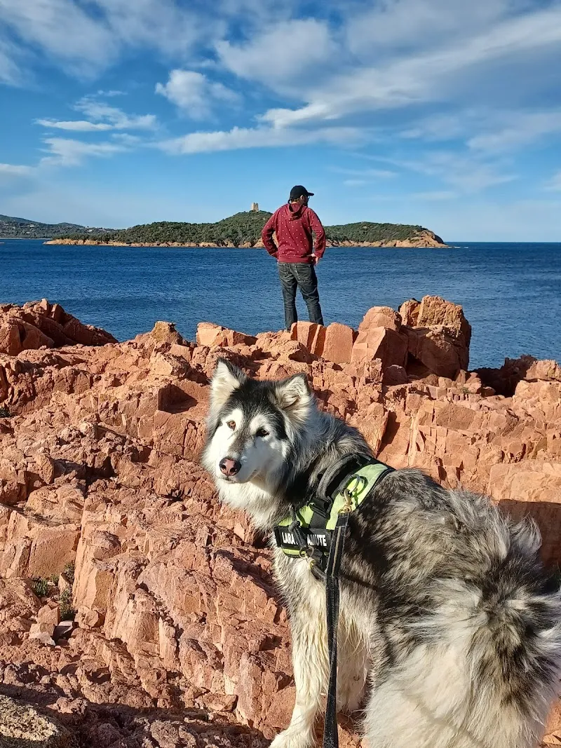 Cabinet vétérinaire du Lac (anciennement Jutzeler) — Tierarzt in Yverdon-les-Bains, Waadt. Bewertung 4.7/5.