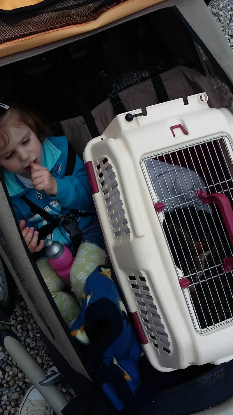 Cabinet vétérinaire du Lac (anciennement Jutzeler) — Tierarzt, Yverdon-les-Bains, Waadt. Foto 3