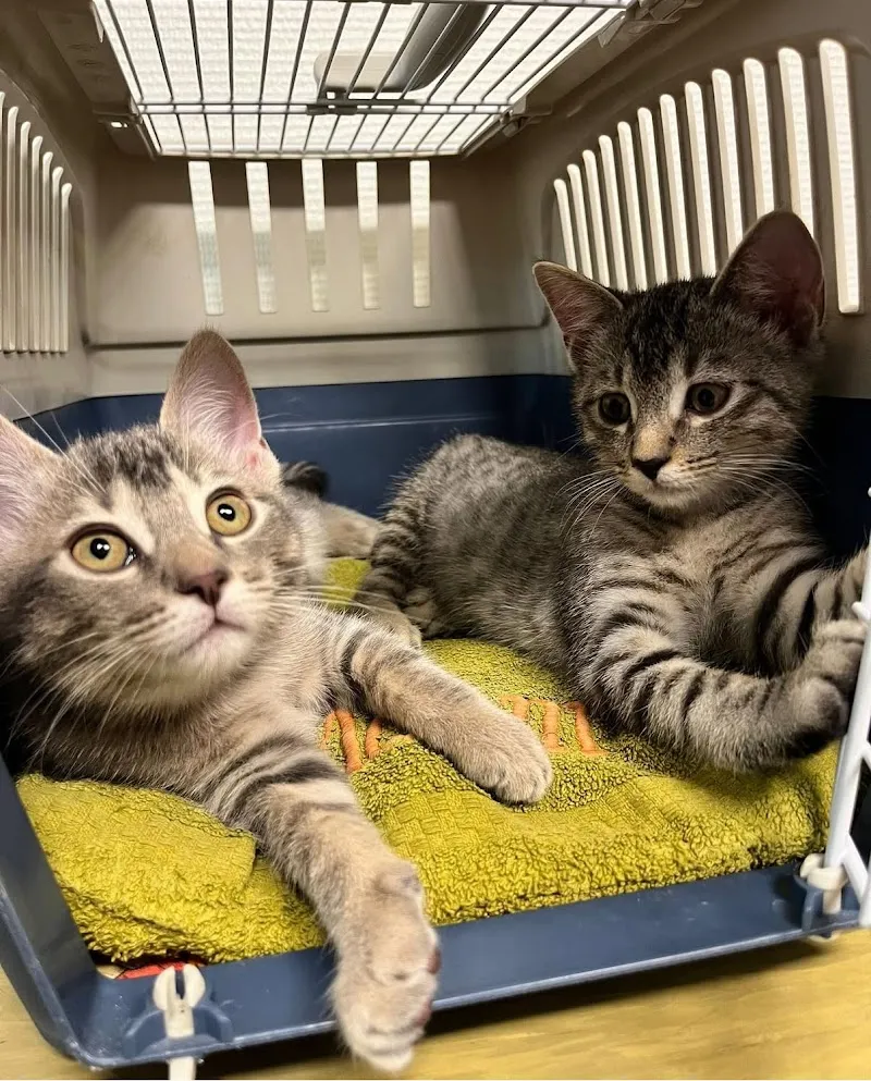 Cabinet vétérinaire du Léman Sàrl — Tierarzt in Lausanne, Waadt. Bewertung 4.5/5.