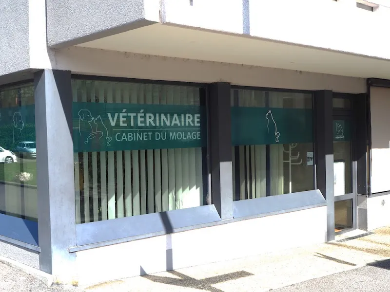Cabinet vétérinaire du Molage — Tierarzt in Aigle, Waadt. Bewertung 4.7/5.