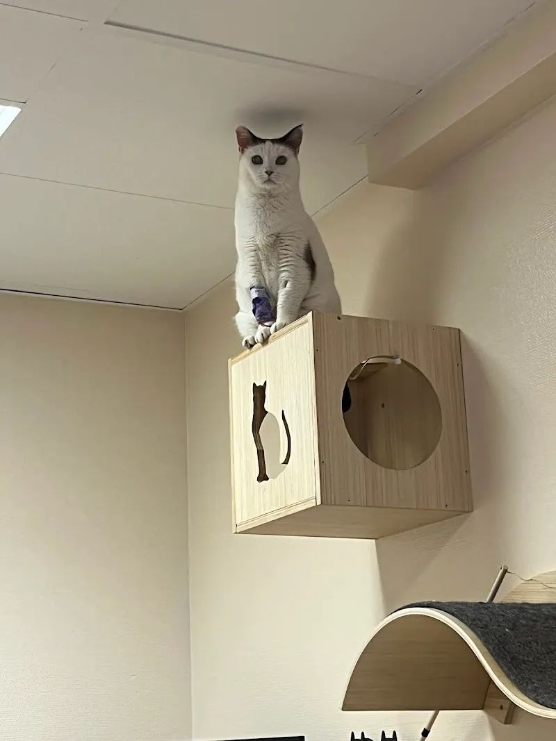 Cabinet vétérinaire du Molage — Vétérinaire, Aigle, Vaud. Foto 2