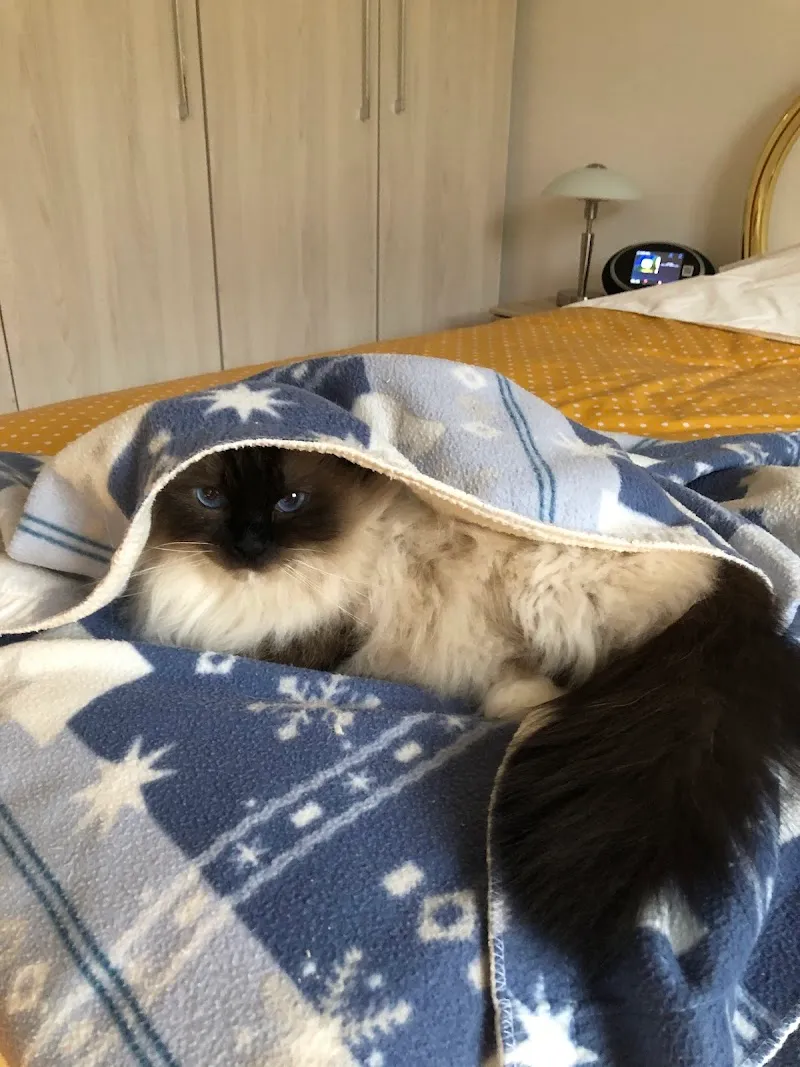 Cabinet vétérinaire du Sorby — Veterinarian, Morges, Vaud. Foto 3