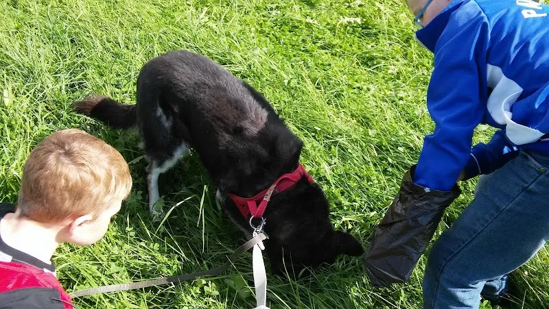 Oasis des vétérans — Katzenpension, Vaulruz, Freiburg. Foto 3