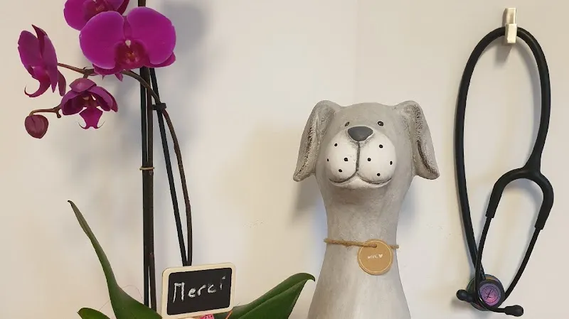 Cabinet vétérinaire Équilibre Sàrl — Tierarzt in Yverdon-les-Bains, Waadt. Bewertung 4.9/5.